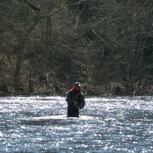 Meet your Posher, Shane